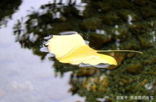 静静地离开是什么歌