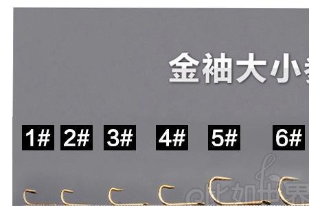 伊势尼9号钩钓多大鱼对照表