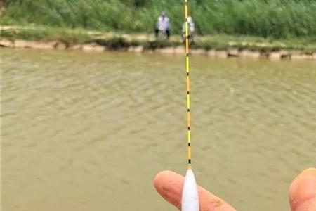 拖钓浮漂的选择