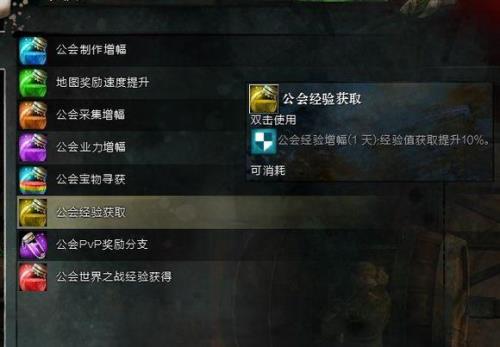 激战2灌注是什么意思