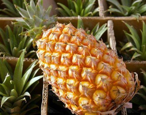怎么介绍菠萝的外形