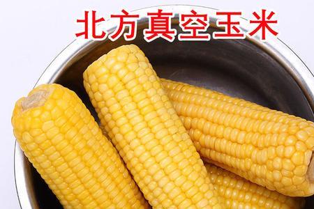 玉米一棒多少斤