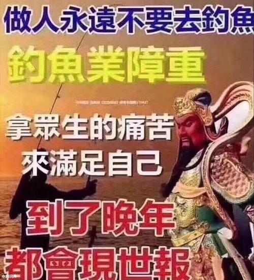 网络名词钓鱼是什么意思