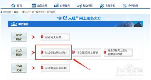 如何查询公司参保人数