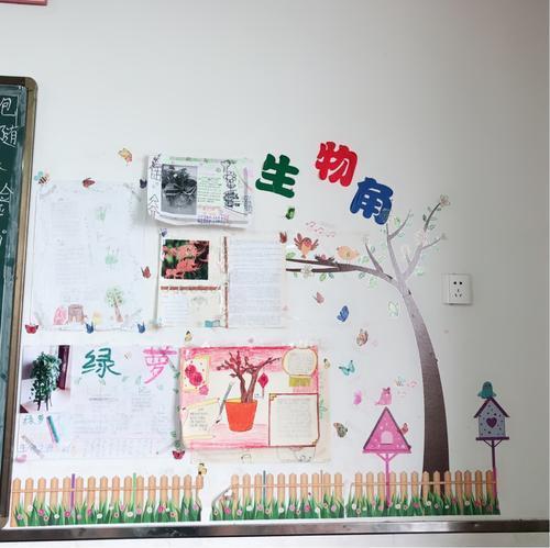 幼儿园生物生长需要的条件