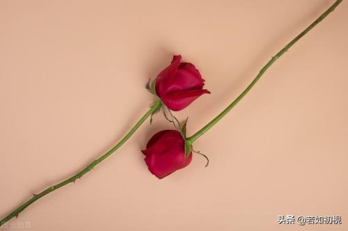 22点29分的爱情里代表什么