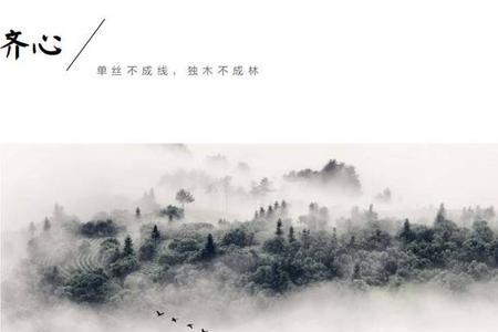 独木不成林的前一句是什么