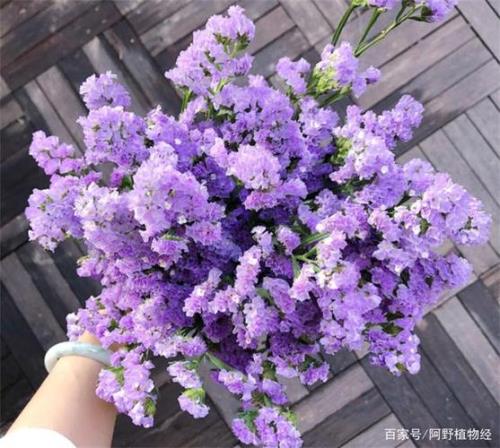 花锦年是什么意思