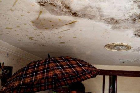 你家漏雨了啥意思