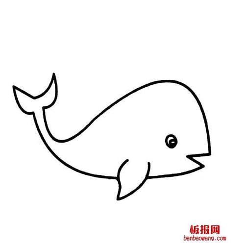 鲸鱼珍珍简笔画