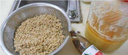 花生钓鱼绝密配方