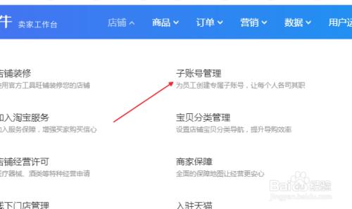 淘宝新号不可以开子账号吗