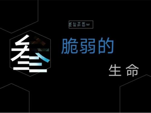 生命三元素是什么意思