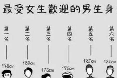 指距和身高的关系公式