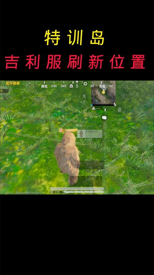 丛林吉利服在特训岛哪里领