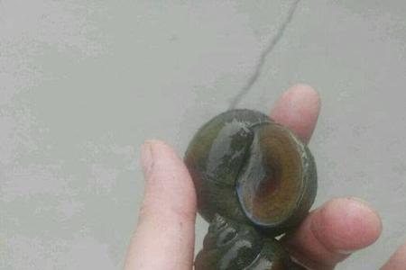 摸螺丝是什么意思
