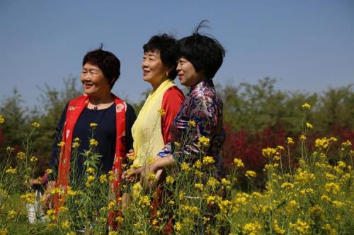 舜家五姐妹实力排行