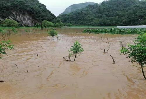 发生洪涝灾害时民政所怎么应对