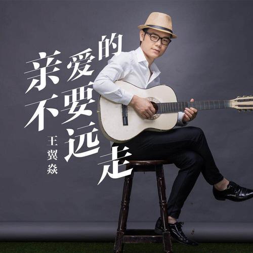 亲爱的别让我再等待原唱