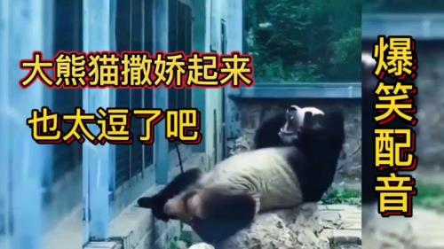 笑亿天搞笑配音哪里来的