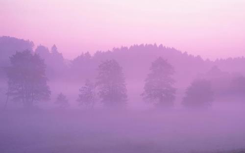 苹果天气壁纸底下显示的是什么