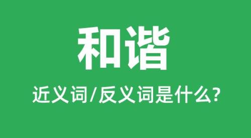 协调的近义词是
