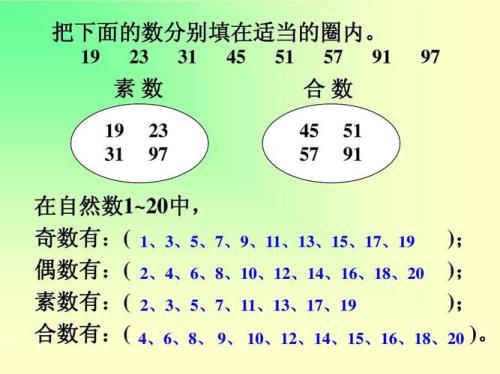 12的质数有