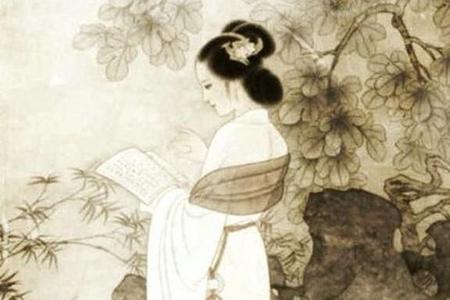 描述白头短的诗句
