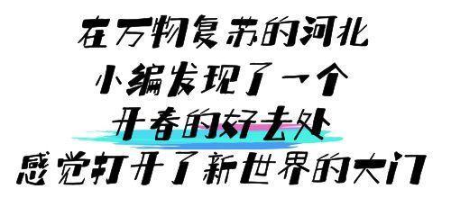 涌往的意思