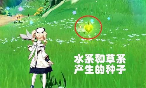 原神绽放的种子伤害和什么有关