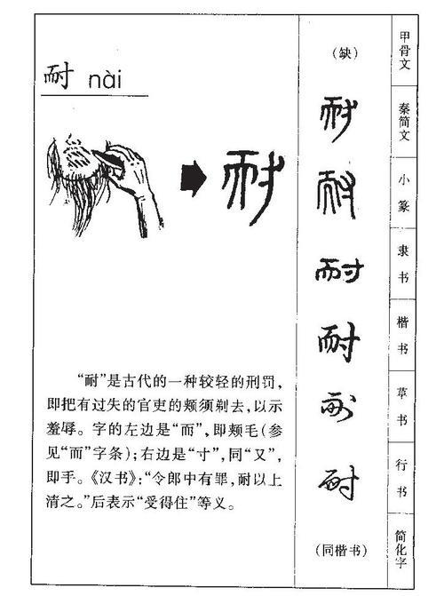 无奈的奈怎么组词