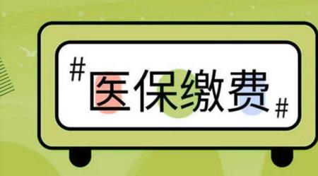 医保个人网上缴费