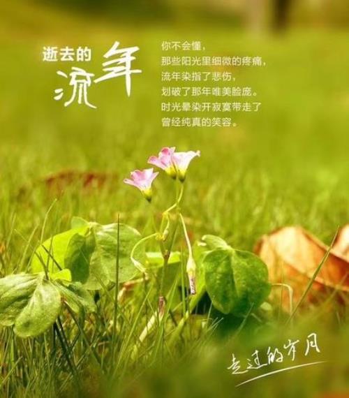 匆匆又一年原唱
