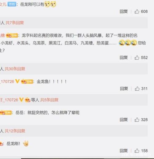 德云社龙字科啥意思
