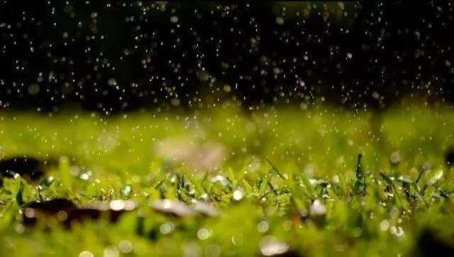 如丝雨是哪首歌的歌词