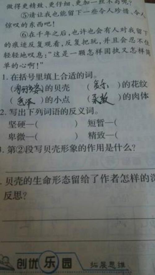 什么是遭遇战反义词