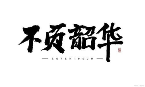 昭华是什么意思