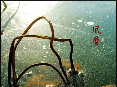 傲骨铮铮反义词