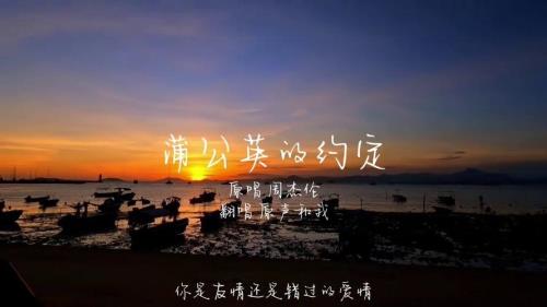 蒲公英的约定为什么没有MV