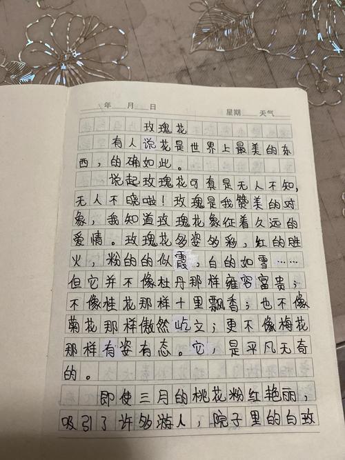 玫瑰花观察记录怎么写