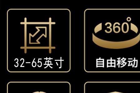 带虞的战队名字