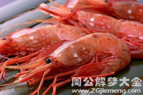 隐虾什么意思