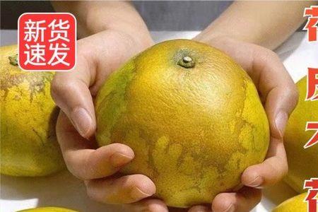 葡萄柚子的正确剥法
