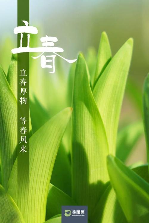 丨968年立春是哪一天