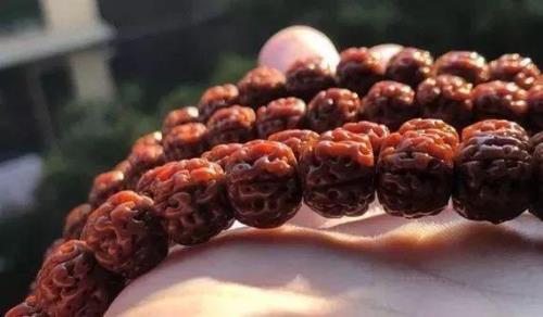 金刚手串盘了一年为什么不玉化