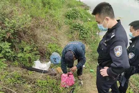 抓虾犯法吗