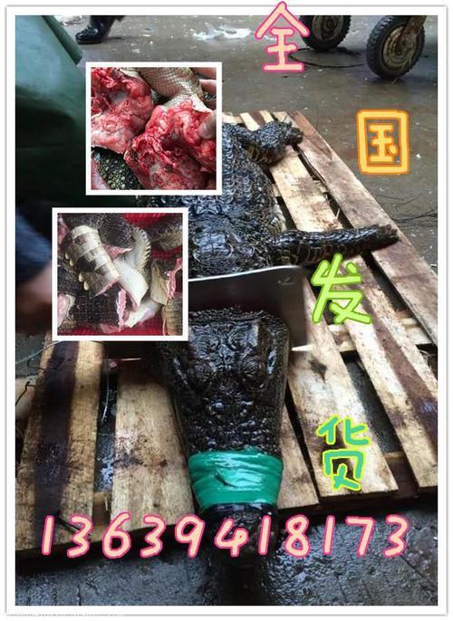 鳄鱼内脏有毒吗