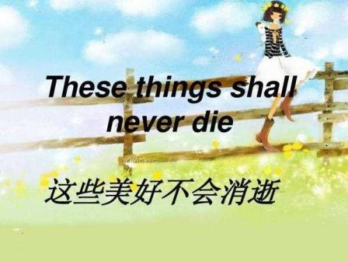 MYALL的歌词的意思