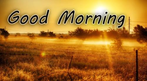 Goodmorning!是不是短语