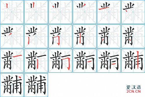伞的笔顺笔画顺序